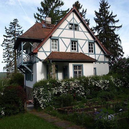 Das Alte Forsthaus Geisenheim Buitenkant foto
