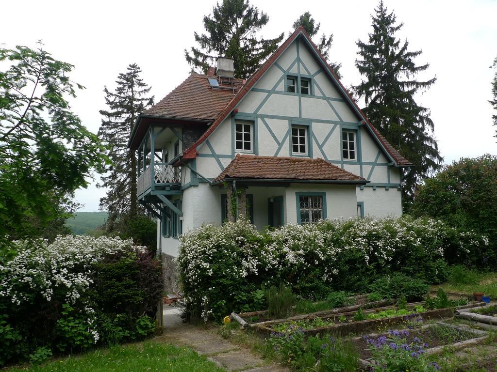 Das Alte Forsthaus Geisenheim Kamer foto