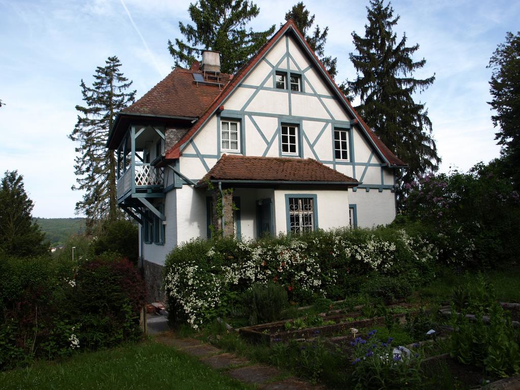 Das Alte Forsthaus Geisenheim Buitenkant foto